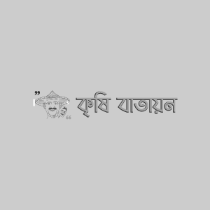 FTIP- BAU সফেদা-১