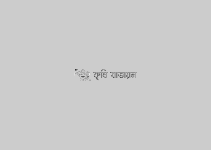 উত্তম কৃষি ব্যবস্থাপনার মাধ্যমে খাদ্য নিরাপত্তার জন্য পরিবেশ বান্ধব বিষমুক্ত নিরাপদ ফসল উৎপাদনে মোঃ ফারুক হোসেন শিমুল ষ্ট্রবেরী ও থাই পেয়ারাতে সফলতা